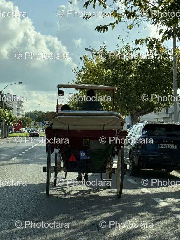 Horse Carriages and Street Scenes