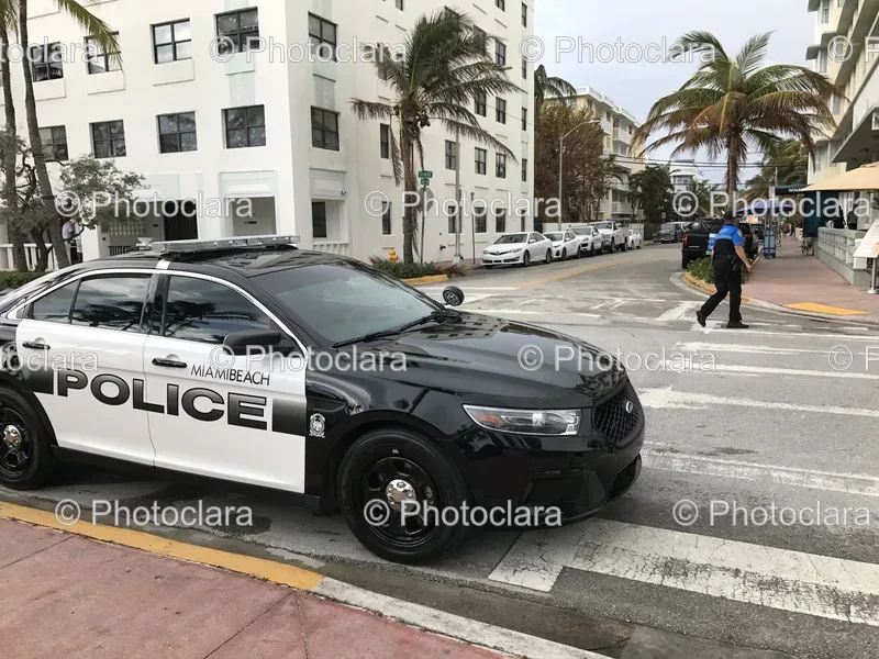 Police Vehicles