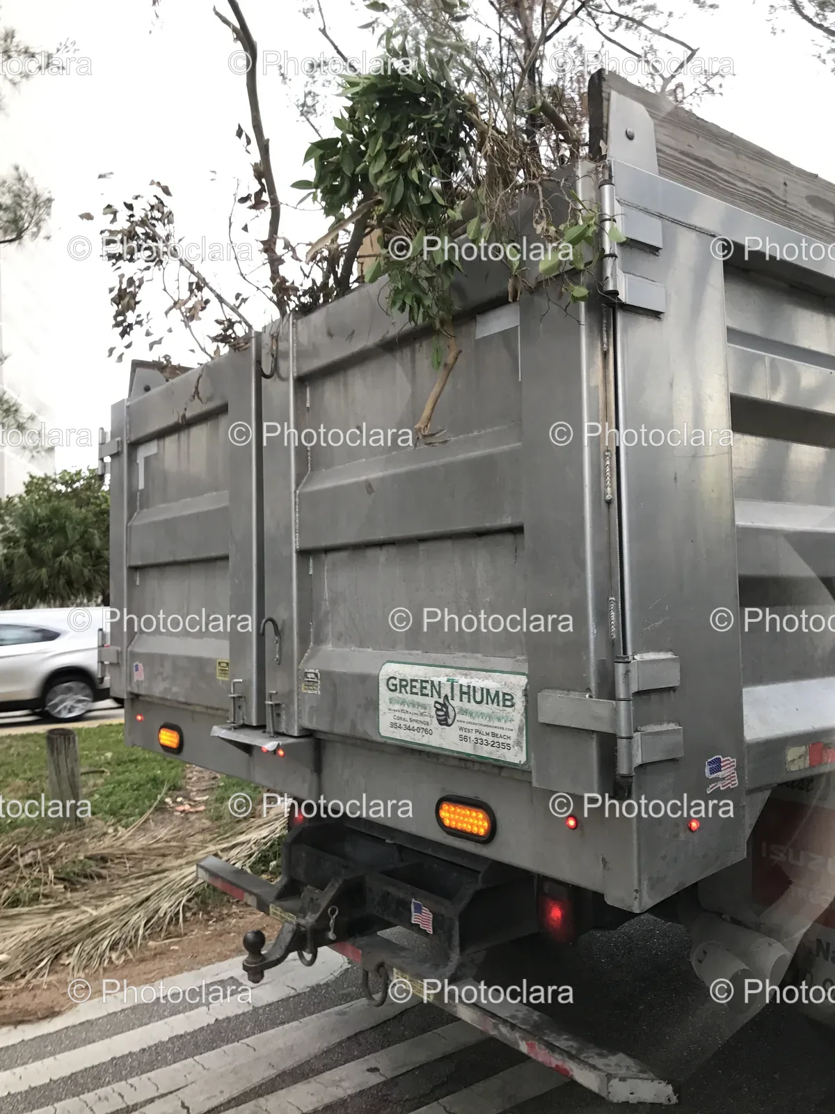 green-thumb-truck-with-tree.jpg